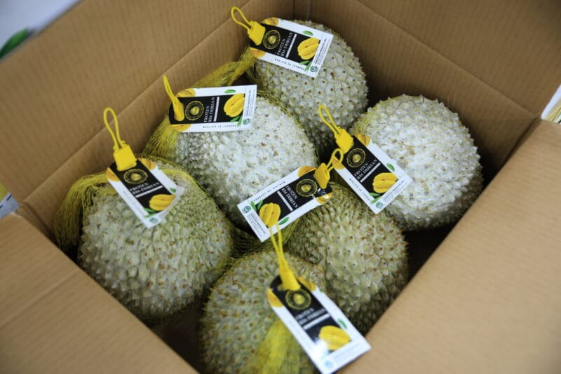 EFRESO Frozen Durian