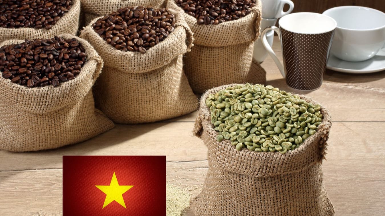 Export of Vietnamese Specialty Coffee to Japan vietnam green coffee beans 4