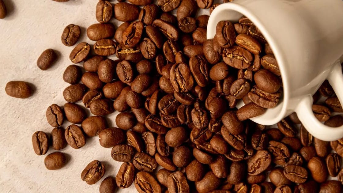 The US Coffee Market: Vietnam Export Insights (2019–2026) vietnam roasted coffee beans 3